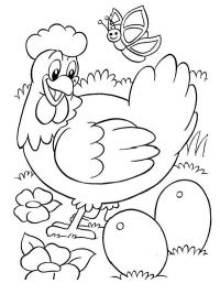 Κότα γεννάει αυγό