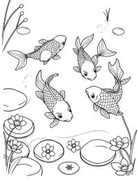 Ψάρια Koi στο νερό