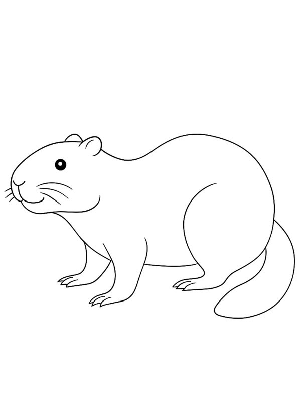 ζωγραφική ζωγραφική