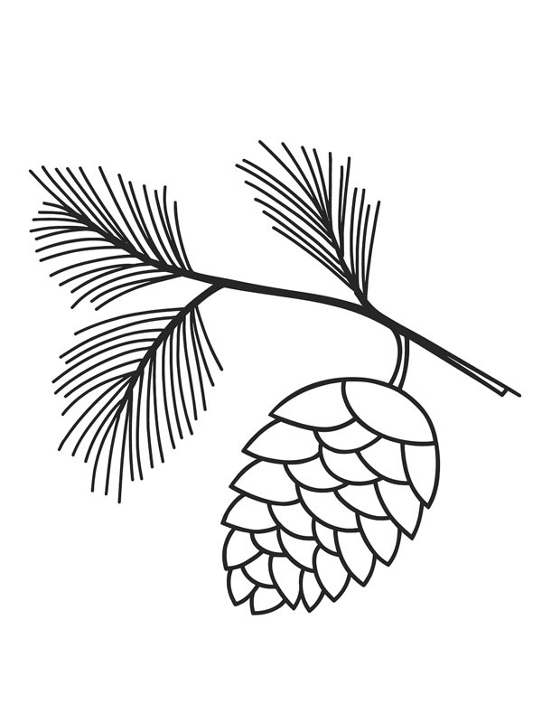 ζωγραφική  ζωγραφική