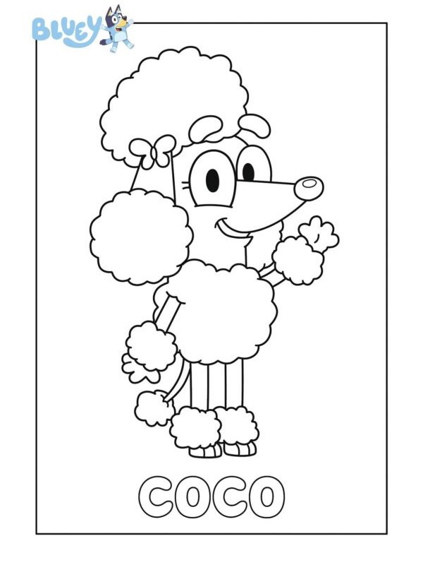 Poodle Coco ζωγραφική Poodle Coco ζωγραφική