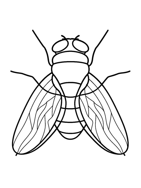 ζωγραφική  ζωγραφική